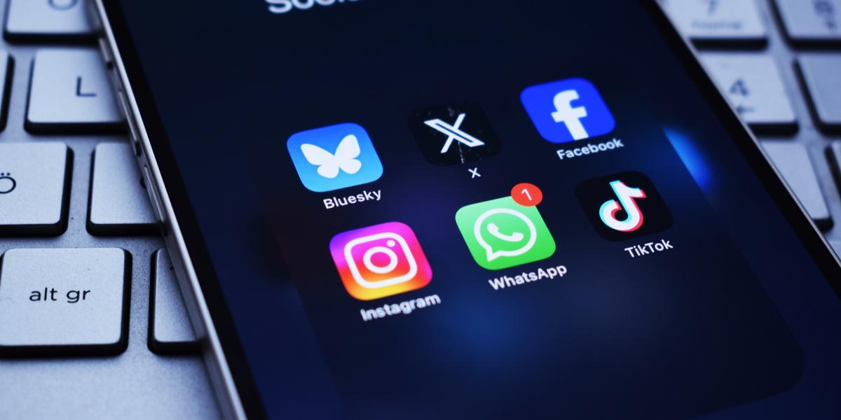 Visa Social Media Check