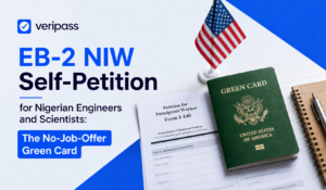EB-2 NIW Self-Petition