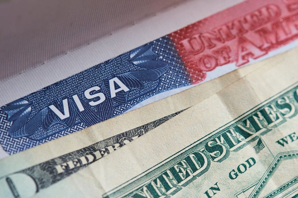 Visa Integrity Fee Immigration