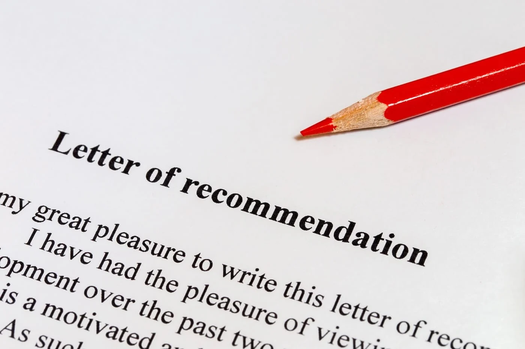 Immigration Reference Letter